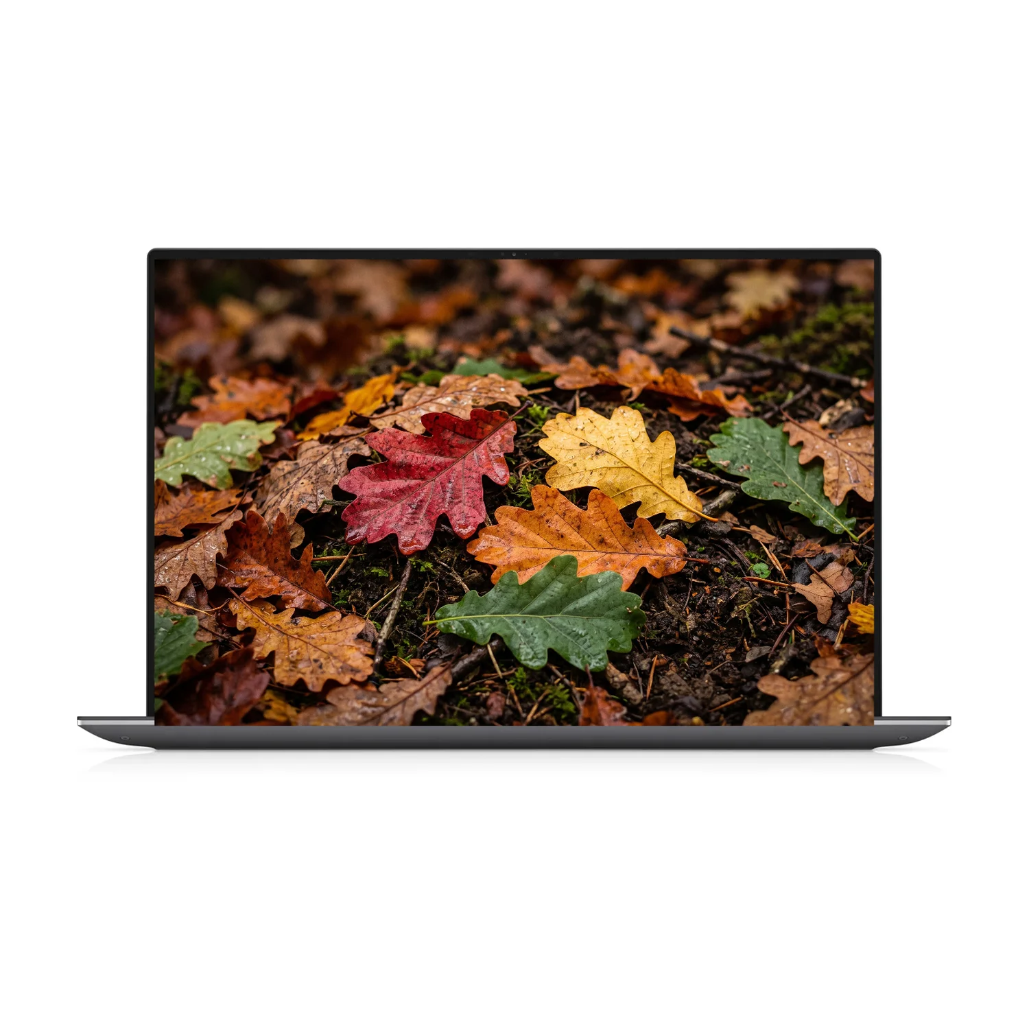 DELL Precision 5560 Laptop | 15.6 inch | Intel Core i7 | 32 GB RAM | 512 GB SSD | Windows 11 | NVIDIA T1200 | 3840x2400 | Refurbished